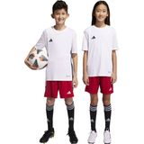 adidas Performance Tiro 23 League Short - Kinderen - Rood