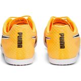 PUMA - evoSPEED Distance 11 - Atletiekschoenen - Zwart/Zilver