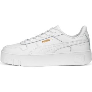 Puma carina street -