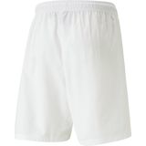Trainingsbroek Puma Men TeamLIGA Shorts White