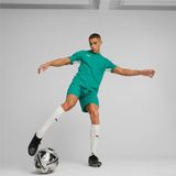 PUMA - Teamcup - T-shirt - Heren