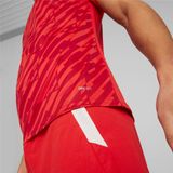 PUMA - Teamultimate Jersey - T-shirt - Rood - Slim Fit