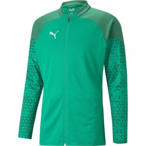 PUMA Heren Teamcup Training Jacket Trui