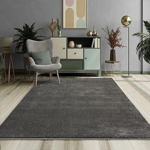 Mia´s Teppiche Emely Tapis de Salon Moderne à Poils Courts (17 mm), Tapis de Sol