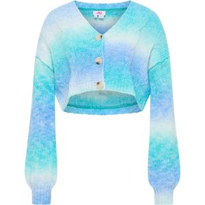 Mymo - Vest - Turkoois - Veelkleurig