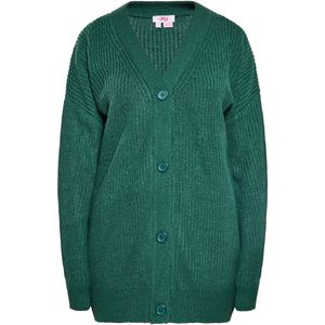 Vest - Gebreid - Lang - V-hals - Knoopsluiting - Casual