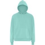 Mo - Hoodie - IJs Munt - Heren