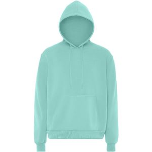 Mo - Hoodie - IJs Munt - Heren