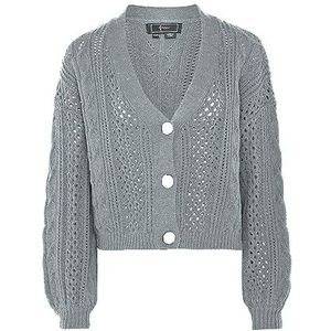 Faina - Gebreid Vest - Lichtgrijs - V-hals - Lange Mouw