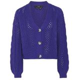 faina Gebreid vest  blauw