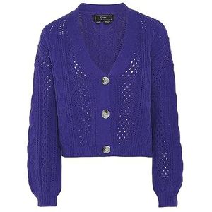 faina Gebreid vest  blauw