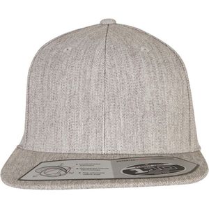 Flexfit - 110 Fitted Snapback Pet - Grijs