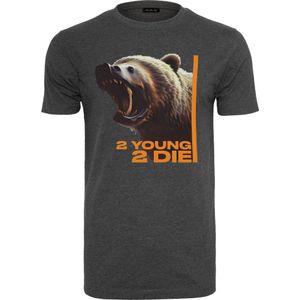 Mister Tee - 2 Young 2 Die Heren T-shirt - Grijs