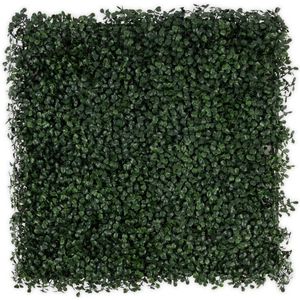 Karat Plantenwand - Boxwood Dark-Green - Kunstplant - Kunsthaag - Decoratie - 50 x 50 cm