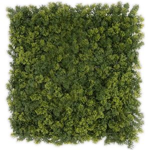 FLOORDIREKT Plantenwand - Houttuynia-cordata - Kunstplant - Kunsthaag - Decoratie - 50 x 50 cm
