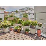 Gardena - Micro-Drip-System Tropfbewässerung Set Balkon (15 Pflanzen) (13401-20)