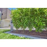 GARDENA Micro-Drip system Complete bewateringsset 13 mm (1/2) Ø - 13501-20