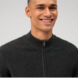 OLYMP - Trui - Grijs - 100% Katoen - Licht Getailleerd