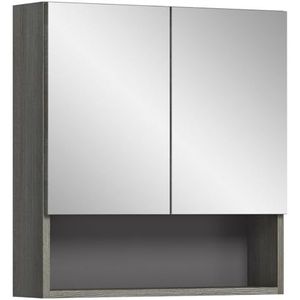 Silver spiegelkast 2 deuren, 1 plank rookkleurig.