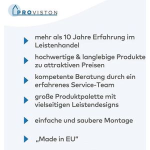 PROVISTON trapneusprofiel antislip | 40 x 30 x 1200 mm | In aluminium | Trapprofiel | Renovatie trap | Trapneus | 1 profiel | Kleur zilver | met inlage