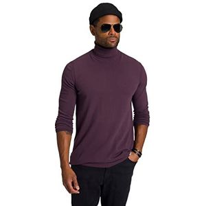 STHUGE Coltrui, fijn gebreid, lange mouwen, tot 8XL 811105, aubergine, 5XL