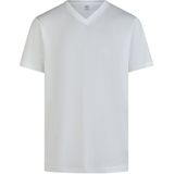 LERROS V-Shirt, (Spar-Set, 2 tlg.), in klassischer Optik