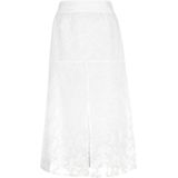 Strokenrok - Transparant - Stippenmotief - Knielang