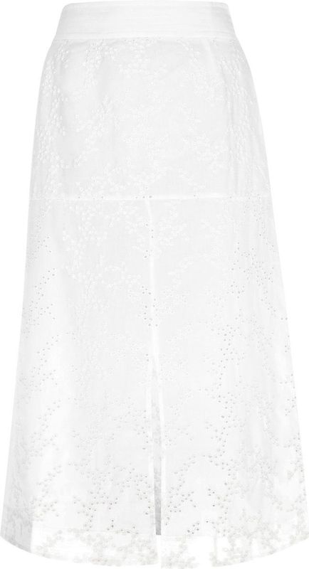 Strokenrok - Transparant - Stippenmotief - Knielang