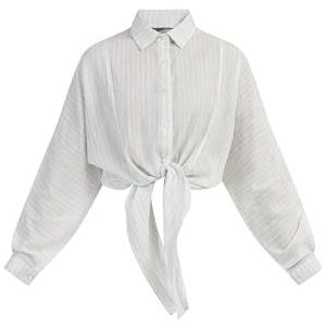 YEPA Geknoopte damesblouse met lange mouwen, Lichtblauwe strepen, XS