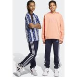 adidas Sportswear Essentials 3-Stripes Fleece Broek - Kinderen - Blauw