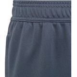 adidas Performance Tiro 23 League Broek - Kinderen - Grijs