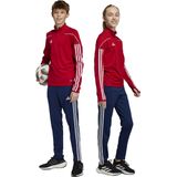 adidas Performance Tiro 23 League Training Broek - Kinderen - Blauw