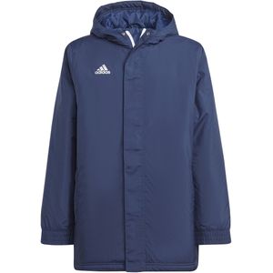 adidas Performance Entrada 22 Stadium Jack - Kinderen - Blauw