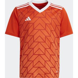 Team Icon 23 Voetbalshirt