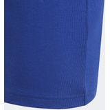 adidas Performance Pogba Graphic T-shirt - Kinderen - Blauw - 152
