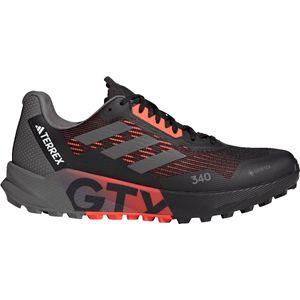 Trail schoenen adidas TERREX AGRAVIC FLOW 2 GTX hr1109 45,3 EU