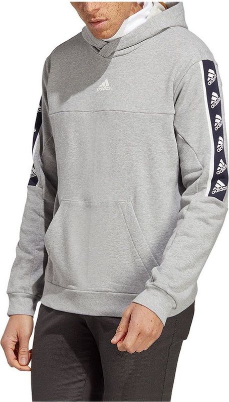 Adidas - Bl Hoodie - Hoodie - Grijs - Normale Pasvorm, Capuchon met Trekkoord, 100% Katoen