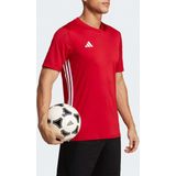 adidas - Sportshirt - Zwart - 100% Gerecycled Polyester - AEROREADY Technologie