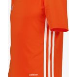 Adidas Tabela Jersey Shirt Junior4