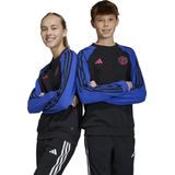 adidas Performance Pogba Sweatshirt - Kinderen - Blauw