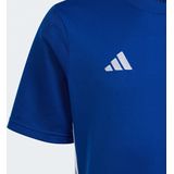 Adidas Tabela Jersey Shirt Junior6