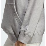 adidas Sportswear Essentials Linear Hoodie - Dames - Grijs