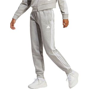 Future Icons 3-Stripes Regular Broek