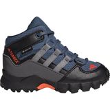 adidas TERREX Terrex Mid GORE-TEX Hiking Schoenen - Kinderen - Blauw