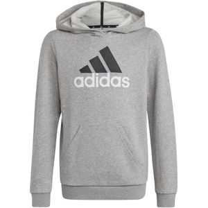adidas - Essentials Big Logo - Hoodie - Grijs - Katoenmix