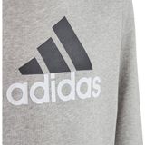 Adidas - Essentials Big Logo - Hoodie - Zwart - Gemaakt van Katoen en Polyester