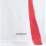 adidas - Uitshirt - Rood Wit Groen - Euro 2024 - AEROREADY