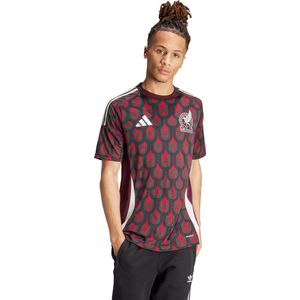 adidas Performance Mexico Thuisshirt - Heren - Veelkleurig