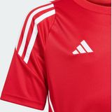 adidas - Tiro 24 - Kindertrui - Sportshirt