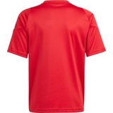 adidas - Tiro 24 - Kindertrui - Sportshirt